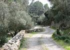 Mallorca_Mar05.6791