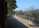 Mallorca_Mar05.6801
