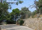 Mallorca_Aug09.3856