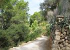 Mallorca_Aug09.3858