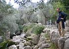Mallorca_Mar05.6445