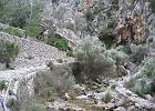 Mallorca_Mar05.6453