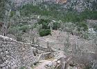 Mallorca_Mar05.6455