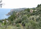 Mallorca Mar05.6561