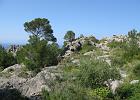 Mallorca_Apr08.0350