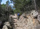 Mallorca_Feb06.9680