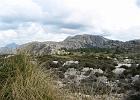 Mallorca_Feb06.9728
