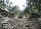 Mallorca_Feb06.9741