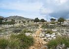 Mallorca_Feb06.C_9732