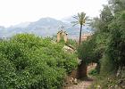 Mallorca_Feb06.9440