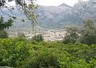 Mallorca_Feb06.9445