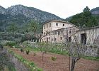 Mallorca_Feb06.9456