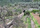 Mallorca_Feb06.9457