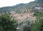 Mallorca_Feb06.9477