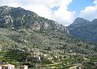 Mallorca_Feb06.9488