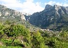 Mallorca_Feb06.9494