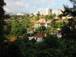 Bild: Funchal; Flutal