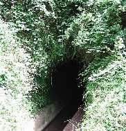 Der Tunnelausgang