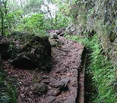 Levada do Furado