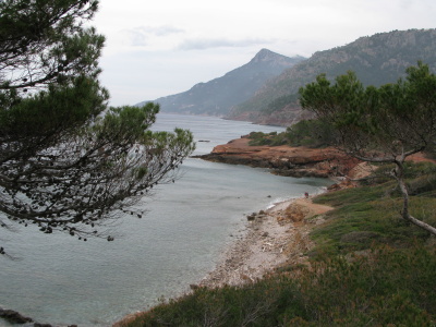 Blick auf die Bucht von Port d'es Canonge