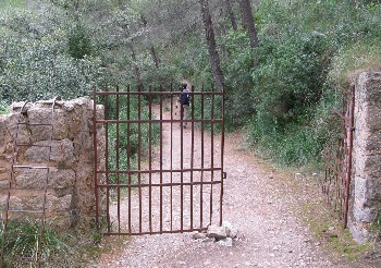 Ein Tor auf dem Waldweg