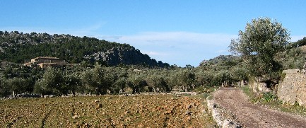 Blick zurck zur Finca