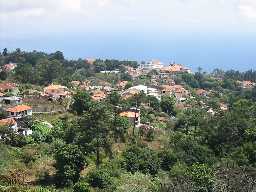 Bild: Camacha von der Levada da Serra Choupana
