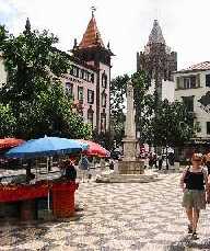 Bild: Marktplatz in Funchal