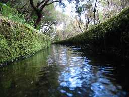 Bild: Aus dem Kanal der Levada 25 Fontes