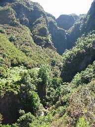 Bild: Weg Levada 25 Fontes ab Wasserhaus 